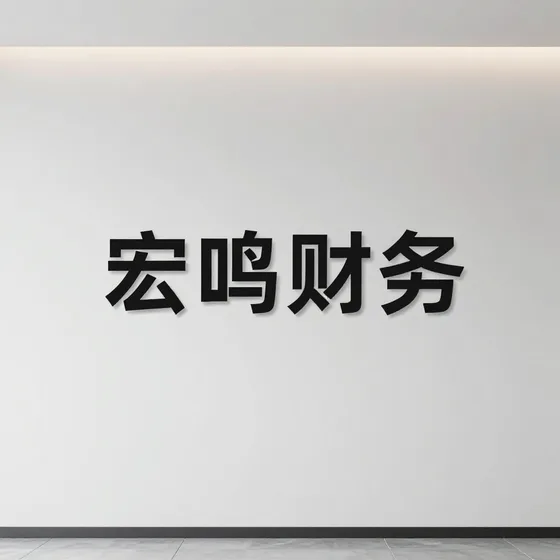 宏鸣财务