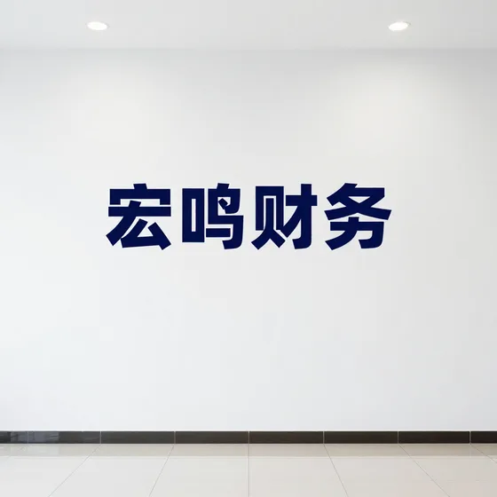 宏鸣财务