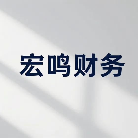 宏鸣财务